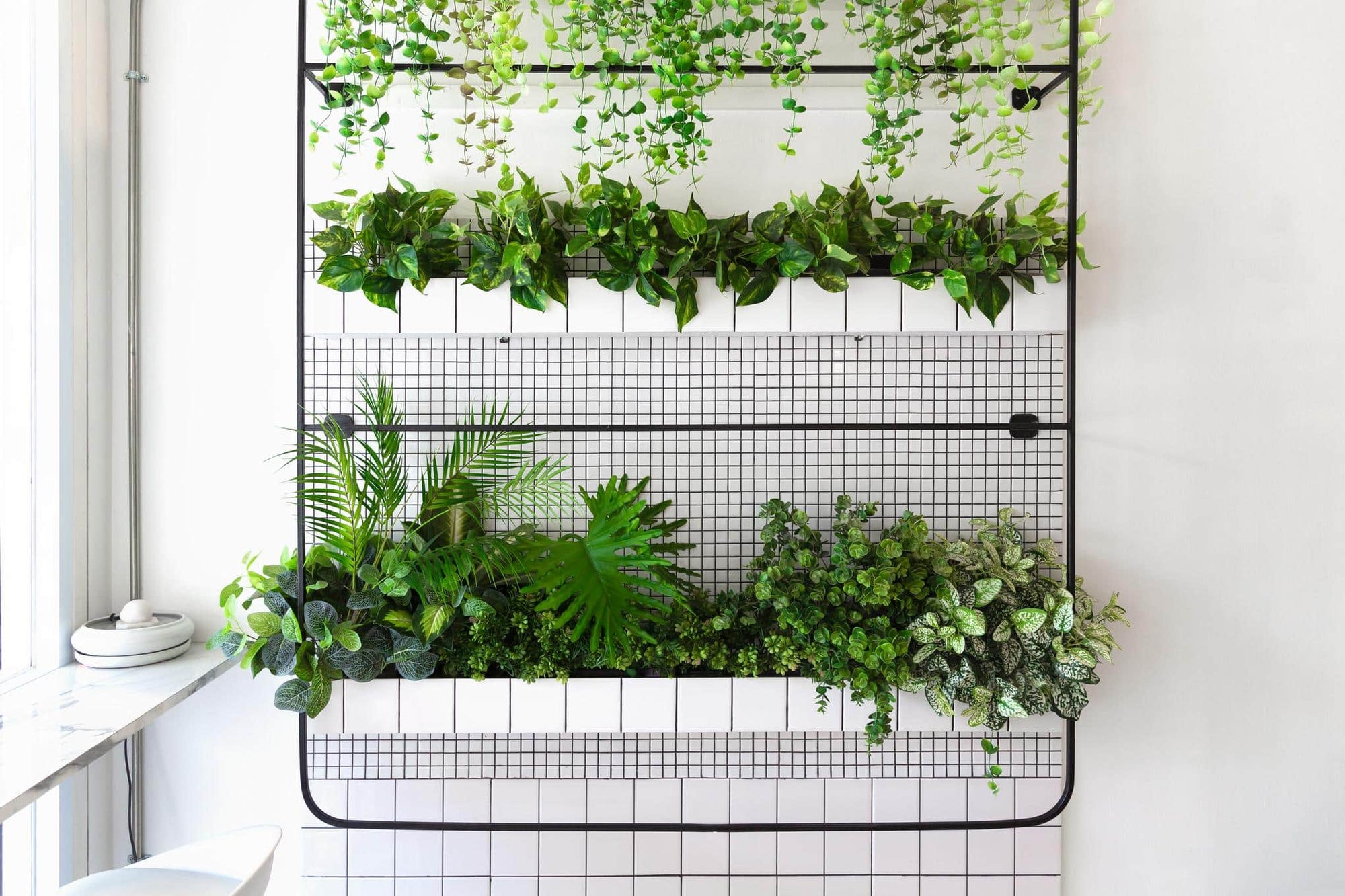 What Are Vertical Gardens?