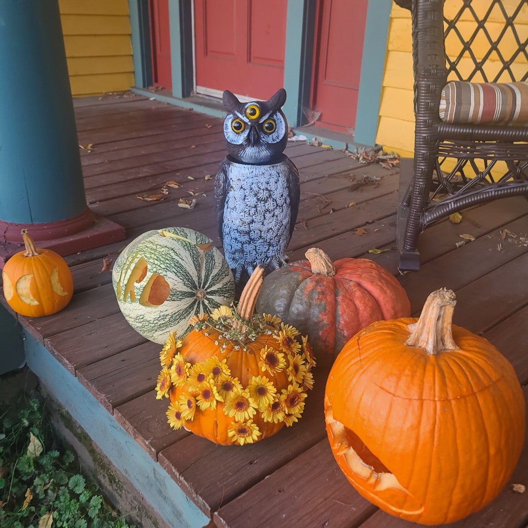 scary three-eyed owl Halloween decoration