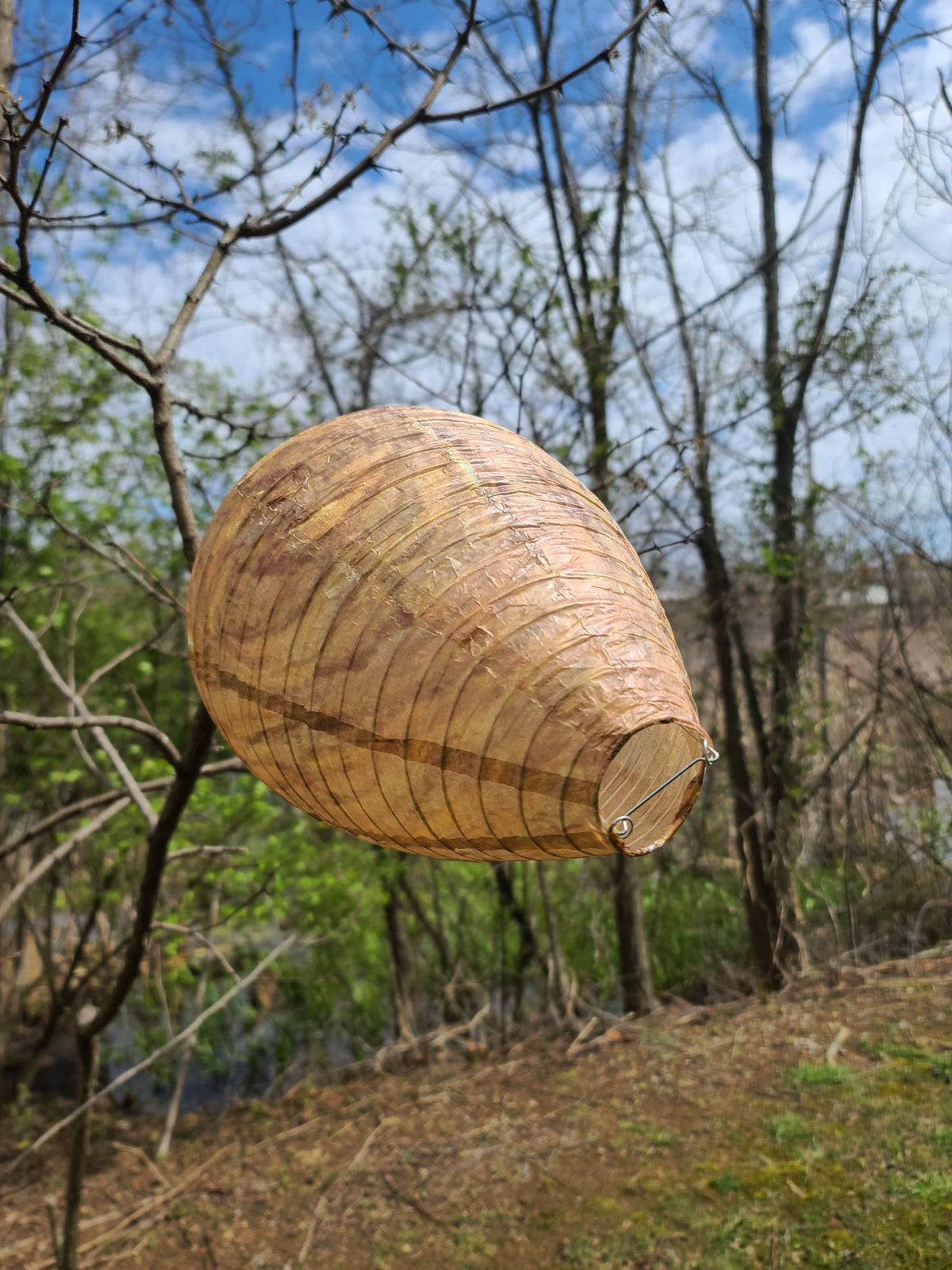 paper bag nest repels wasps and carpenter bees