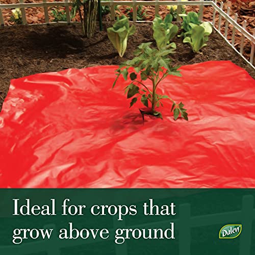 Better Reds Sunshine Reflector, Ground Cover for Boosting Tomato & Fruit Growth, by Dalen Products