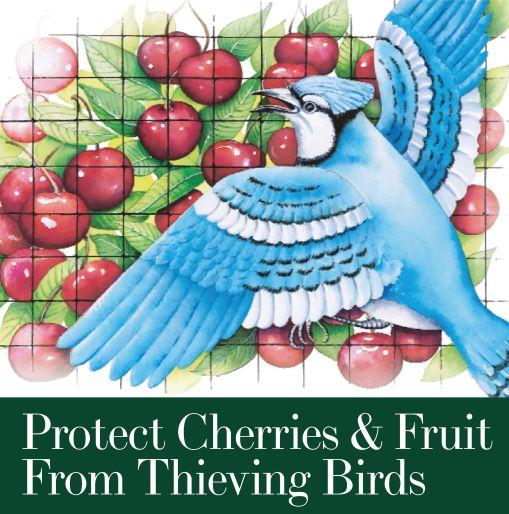 Protect Fruit Trees & Berry Bushes: Bird-X Netting by Dalen