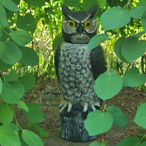 BIRD WATCHER™ Hidden Camera Surveillance Owl 360° Vision Sentry Seer