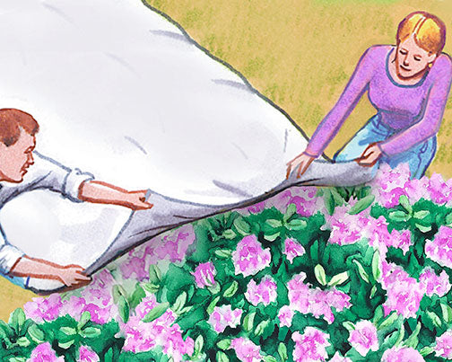 Harvest Guard SUB ZERO - Anti-Hail & Winter Weather Garden Fleece