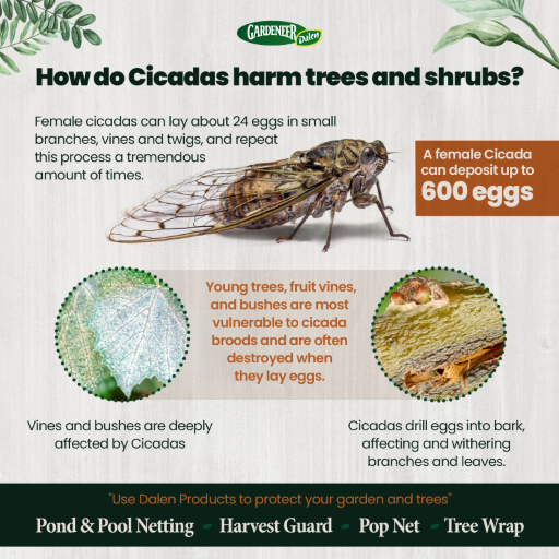 Heavy Duty Pond & Pool Netting - Floating & Reusable - Protect Fish & More