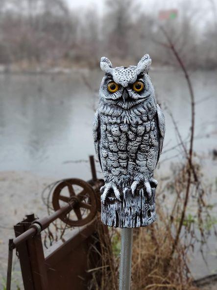 Snow White Decoy Owl - 16