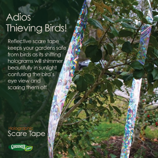Holographic Scare Tape - 100 Ft. Full Spectrum Ribbons for Frightening & Protecting Birds