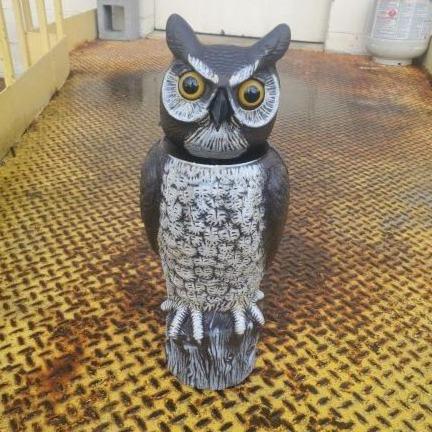 TIGER OWL Deluxe 18