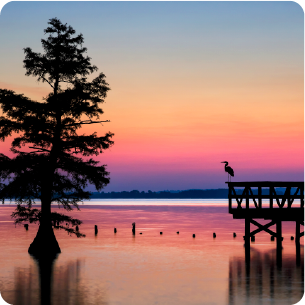 Wetlands and bird sanctuary