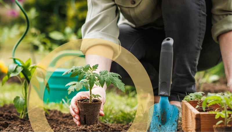 Understanding Planting Zones | Dalen Products