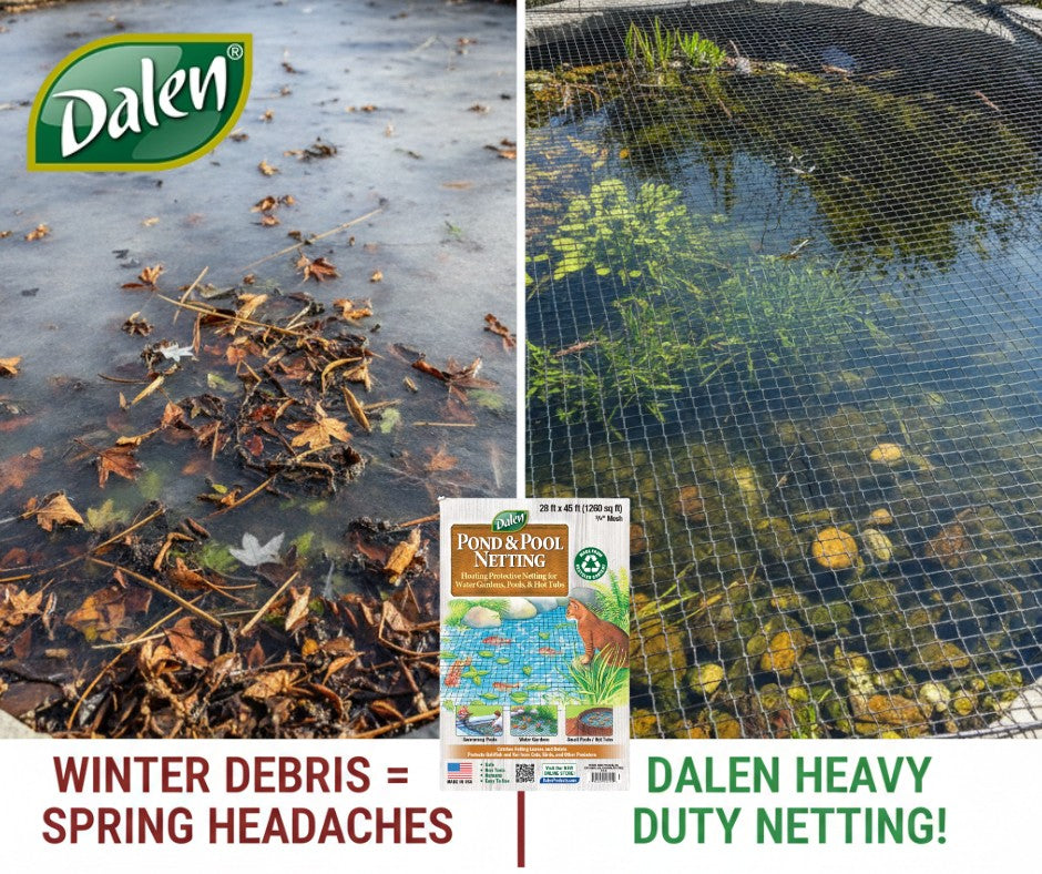 Winter Storms, Waning Moons, and the Secret to a Clear Spring Pond