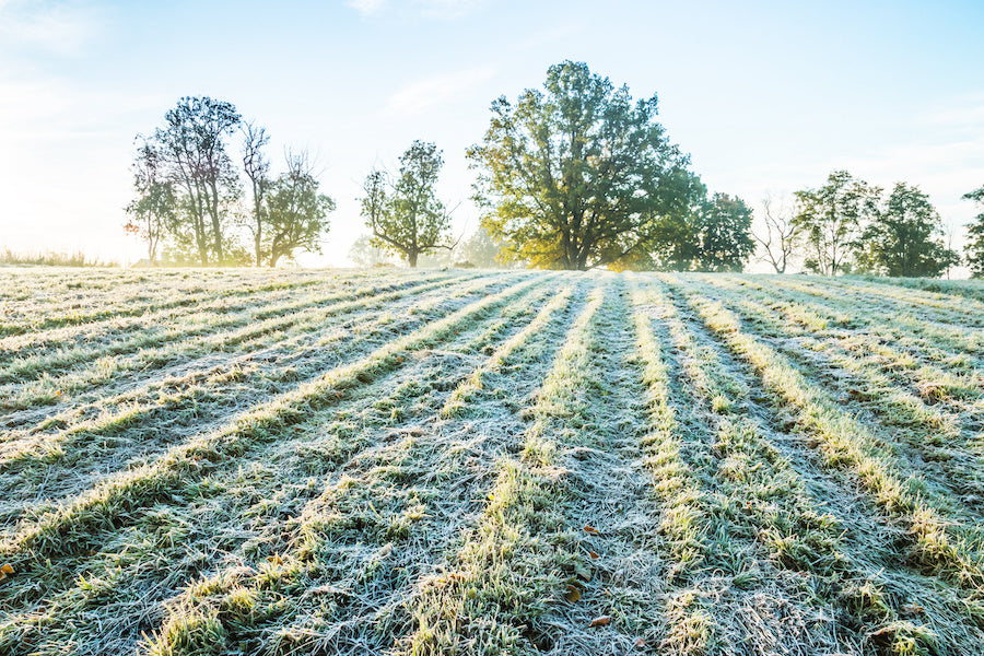 Learn about Frost Protection and Seed Germination Covers