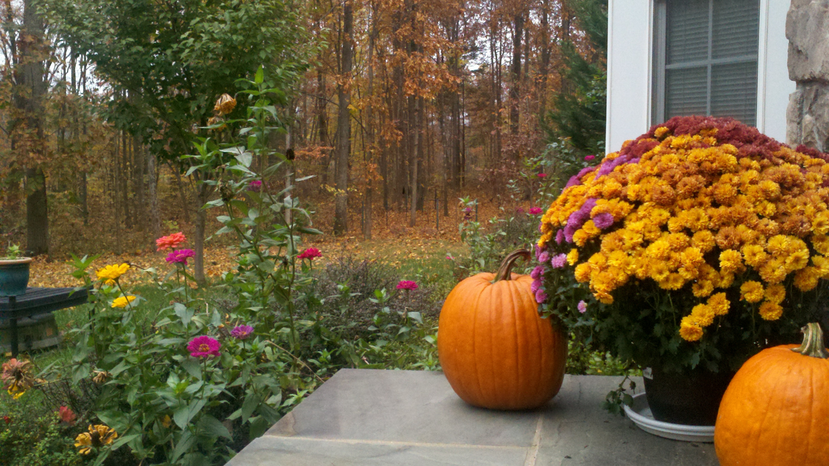 Fall & Winter Prep Favorites