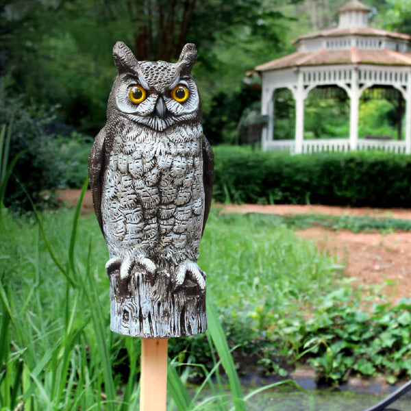 Scare Owls
