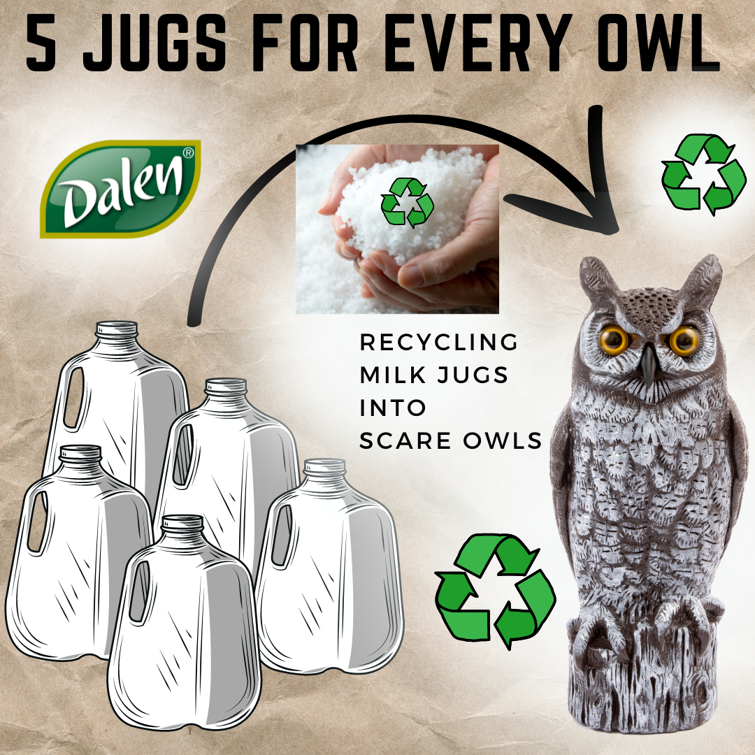5 jugs recycled into 1 owl