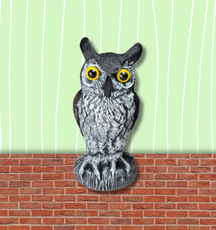 Baby Scarecrow Owl - 10.6