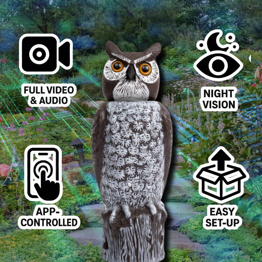 Dalen 18in Owl Security Camera | 1080p Night Vision & Motion Decoy