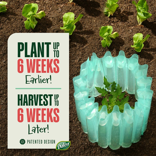 Wall-O-Water™ Season Starter 18" Tomato & Plant Protectors - 3pk or 9pk Mini Greenhouses