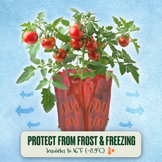 Automator Tomato Growth Trays - Square Foot Sun Reflector (Pack of 3)