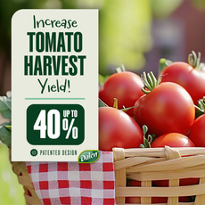 Automator Tomato Growth Trays - Square Foot Sun Reflector (Pack of 3)