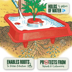 Automator Tomato Growth Trays - Square Foot Sun Reflector (Pack of 3)