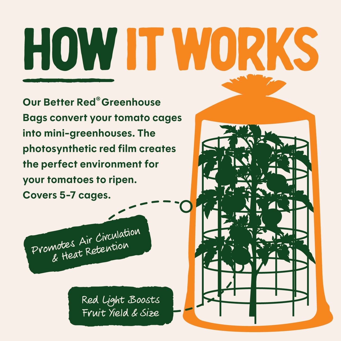 Dalen Better Reds Greenhouse Booster Tomato Cage Cover for Faster Ripening