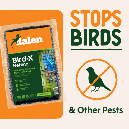 BIRD-X Protective Mesh Netting, Black Bird Barrier for Fruit Trees & Berry Bushes, by Dalen Products