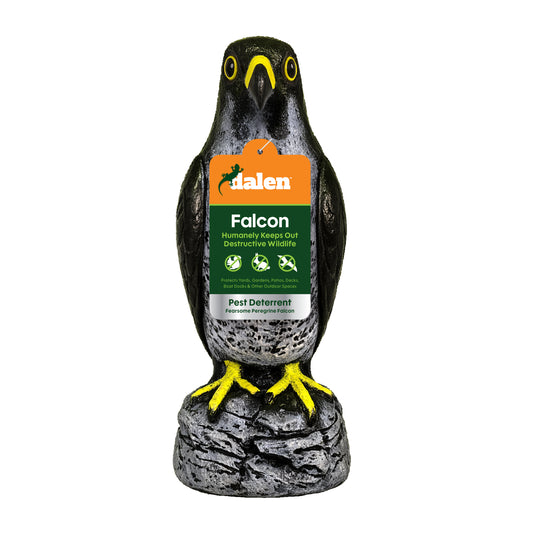 Peregrine Falcon Decoy, 15", Natural Enemy Scarecrow Bird Deterrent, by Dalen Products