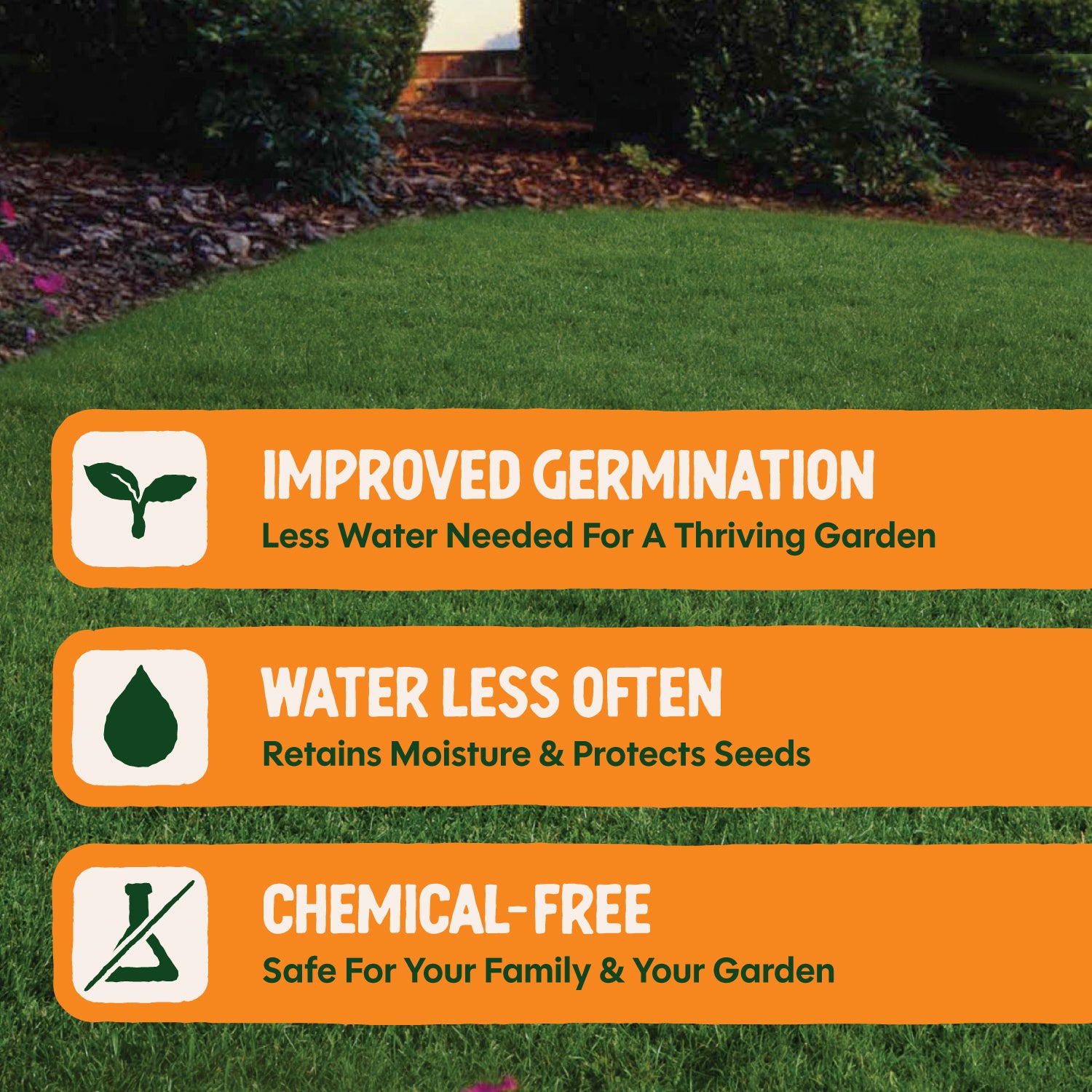 best conditions for planting grass seed Grass Fast