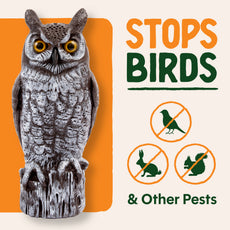 Great Horned Owl Decoy, 16