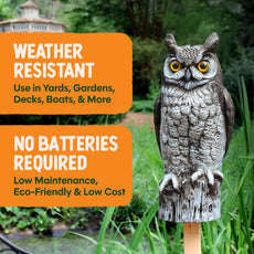 Great Horned Owl Decoy, 16