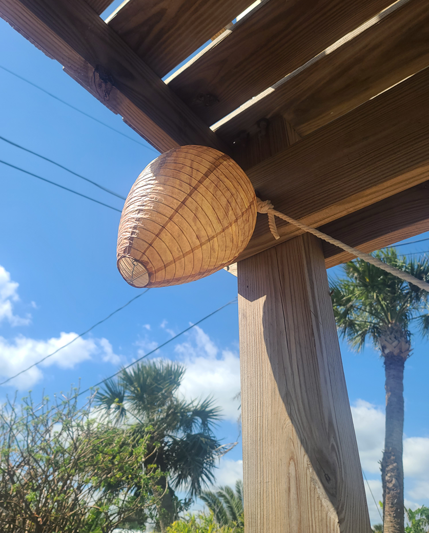 Fake Hornet's Nest - Wasp & Bee Territorial Nesting Repellent - 3 Pack