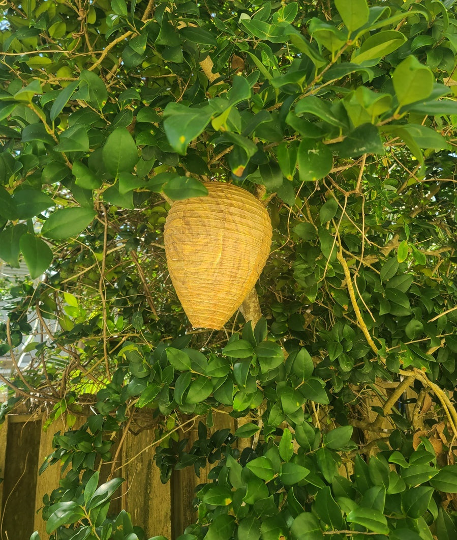Fake Hornet's Nest - Wasp & Bee Territorial Nesting Repellent - 3 Pack