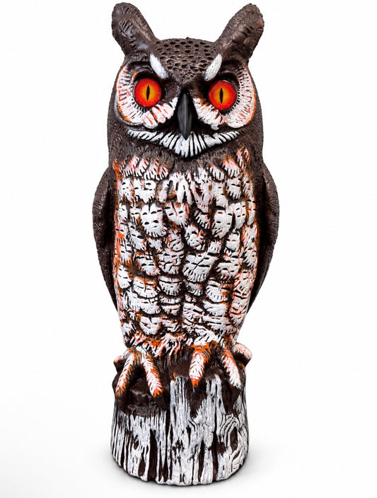 Dalen Limited Edition Halloween Owl