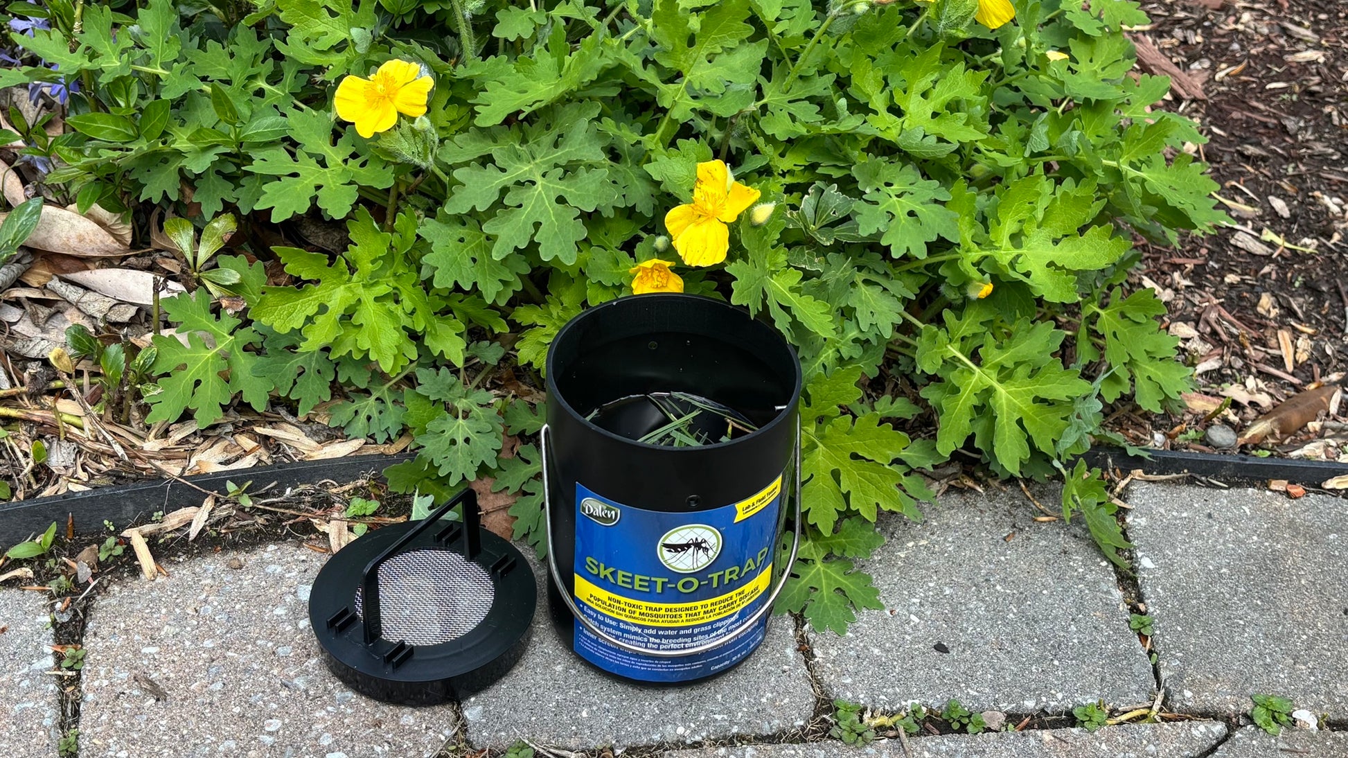 SKEET-O-TRAP Unique Mosquito Repellent Ovitrap for Yard or Garden