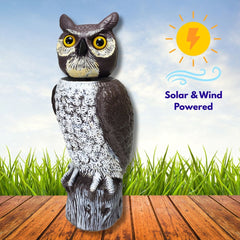 Sol-R_Owl_240x.jpg?v=1748926415