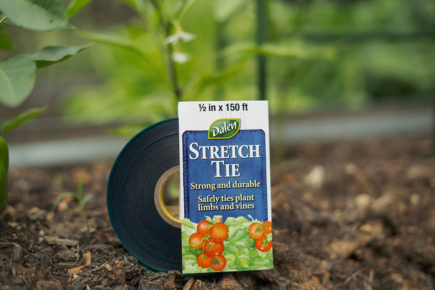 Dalen 1/2in x 150ft Stretch Ties for Plant Training and Trellis Support