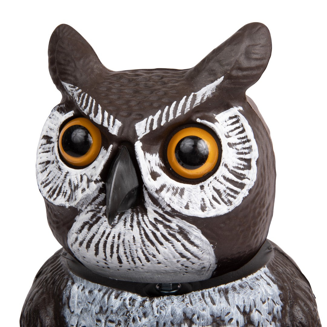 fake owl head rotates in wind