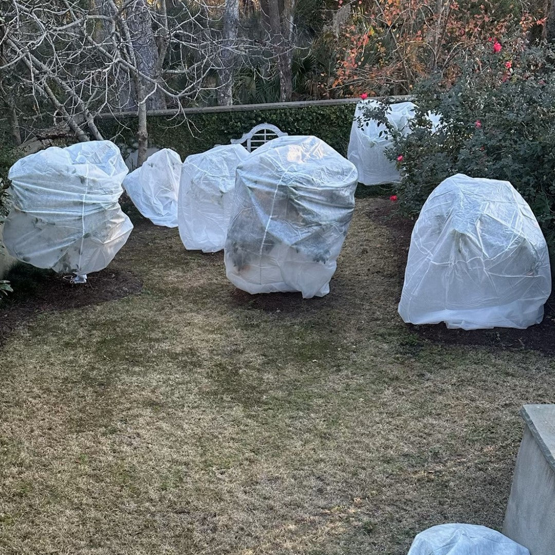 can i use plastic bags to cover plants from frost Plant Protection Bag Harvest-Guard