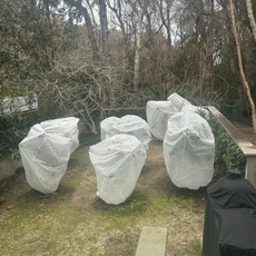 Harvest-Guard Plant Protector Bag - 8ft x 6ft for Cold Weather Frost Protection