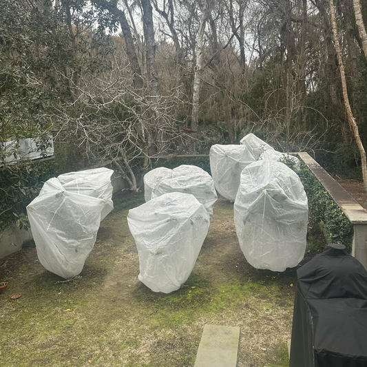 Harvest-Guard Plant Protector Bag - 8ft x 6ft for Cold Weather Frost Protection