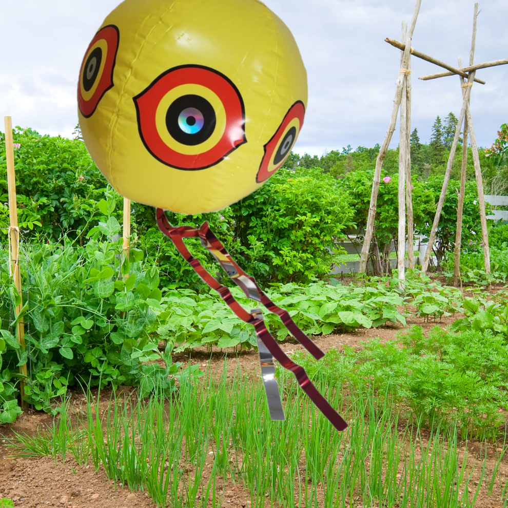 Dalen 14in Guard'n Eyes Bird Scare Balloon | Reflective – Dalen
