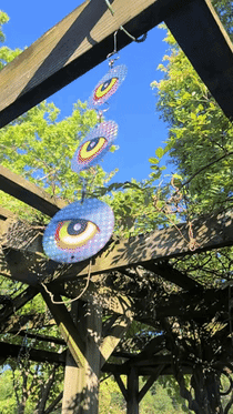 scare birds and pests with reflective hanging garden eyes