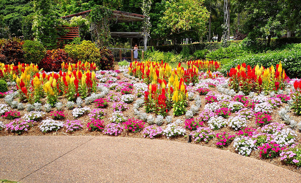 picturesque-scene-of-flower-garden