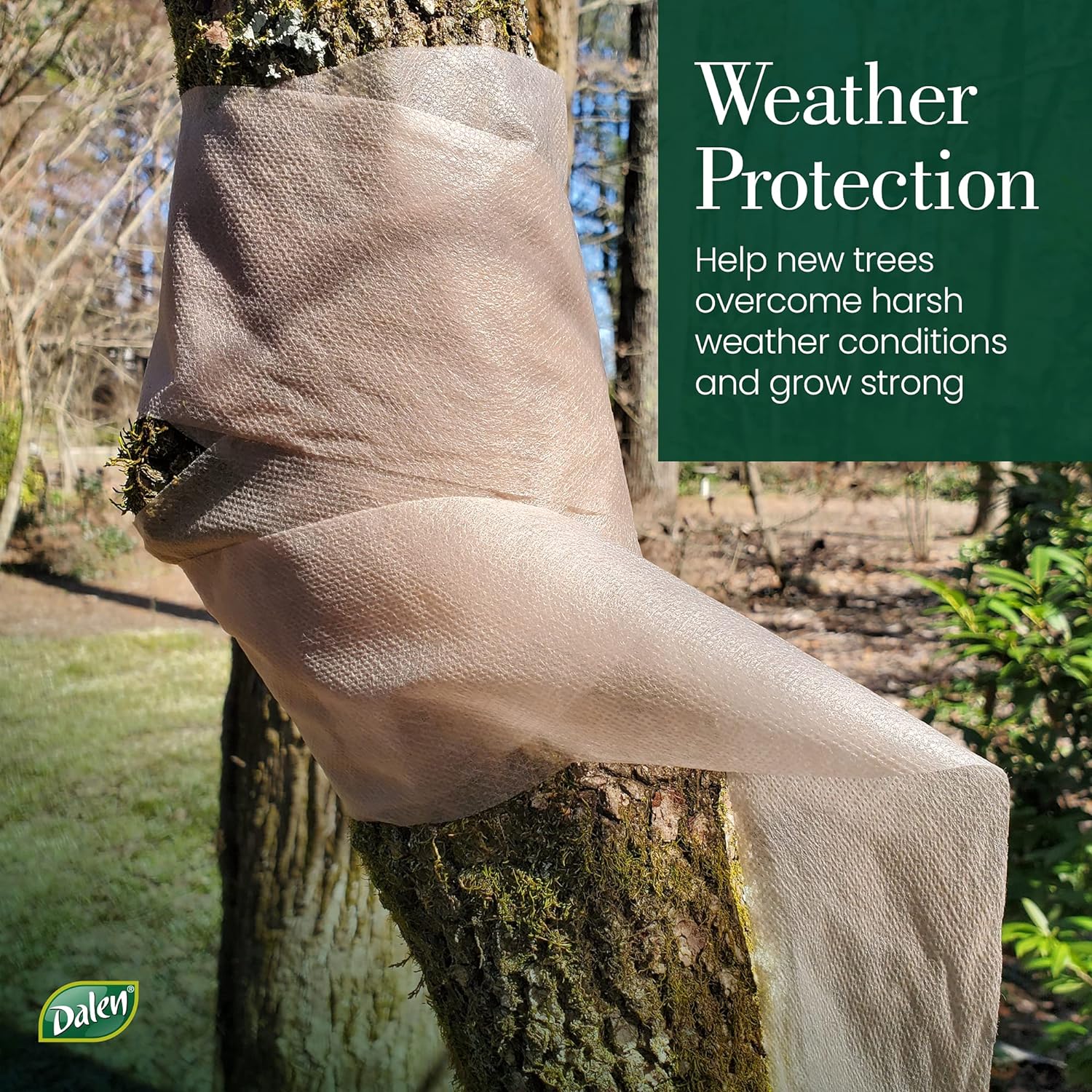 Tree Wrap Tree Wrap: What It Is, Why To Use It, And How | Townsville