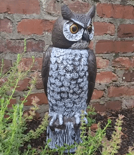 rotating owl head spins around garden
