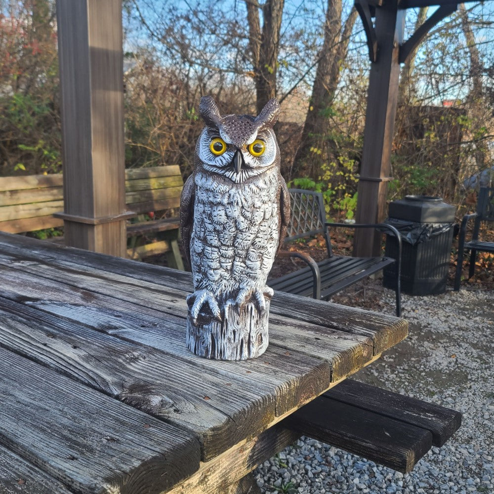scare owl protects picnic table