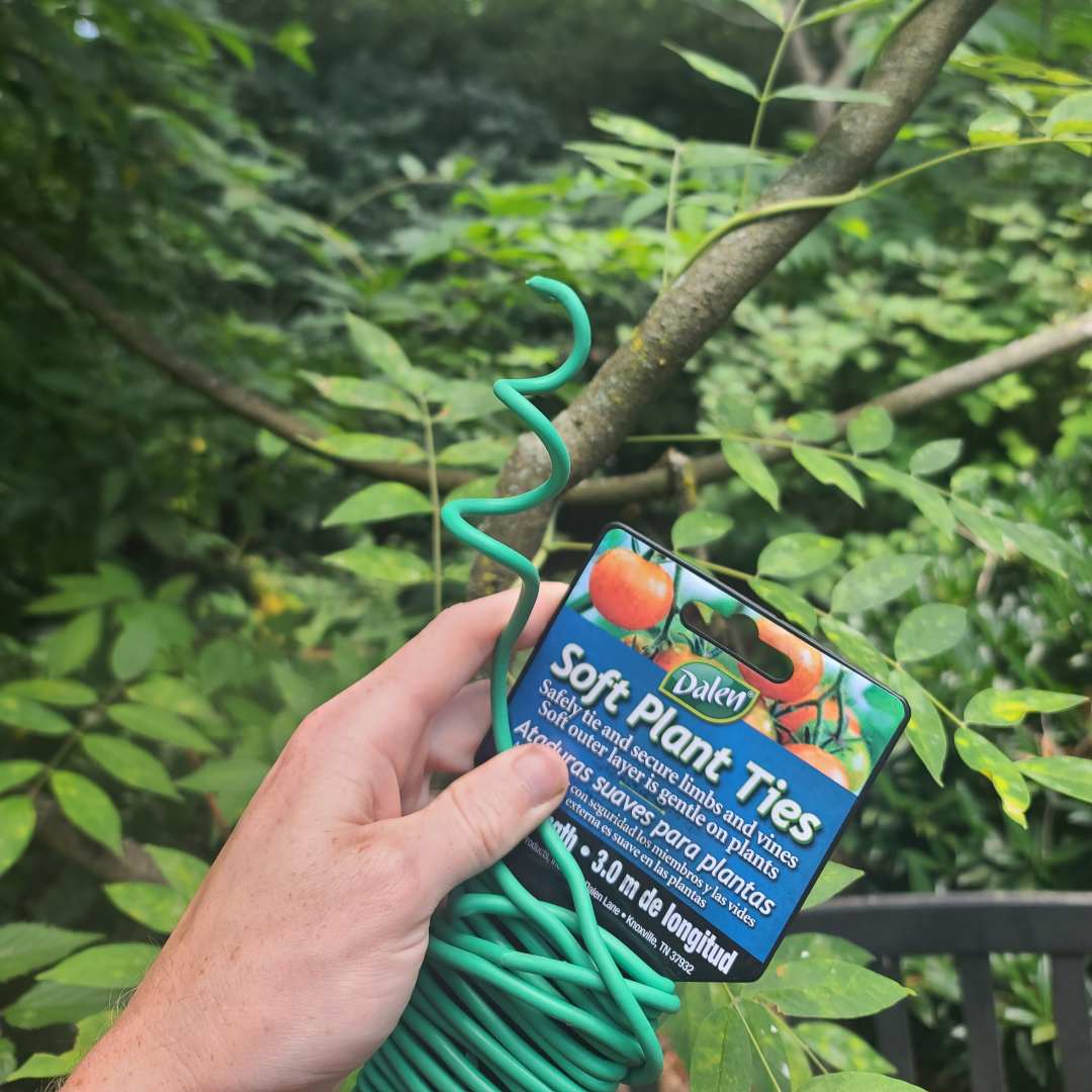 Soft Plant Ties for Delicate Plants