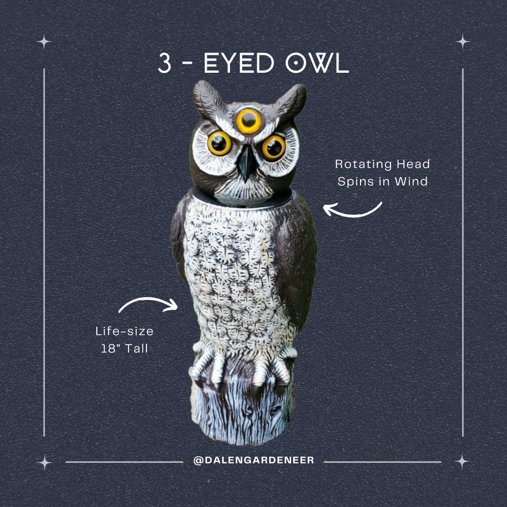 Dalen 18in 3-Eyed Rotating Owl Decoy | Wind-Powered – Dalen Products
