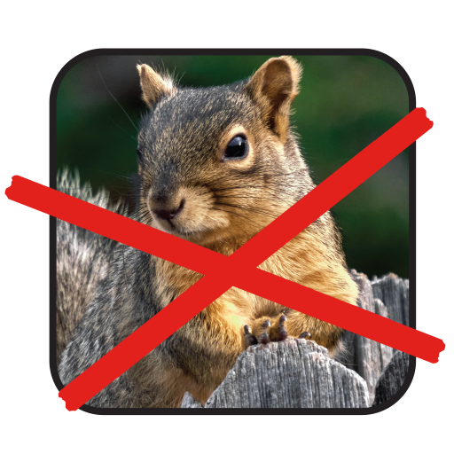 Scram, Squirrel by Slinky® Bird Feeder & Birdhouse Protectant