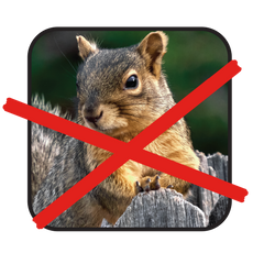 Scram, Squirrel by Slinky® Bird Feeder & Birdhouse Protectant